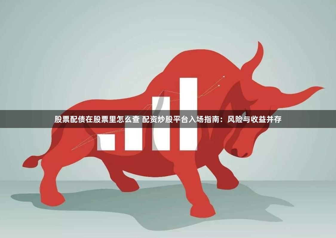 股票配债在股票里怎么查 配资炒股平台入场指南:风险与收益并存
