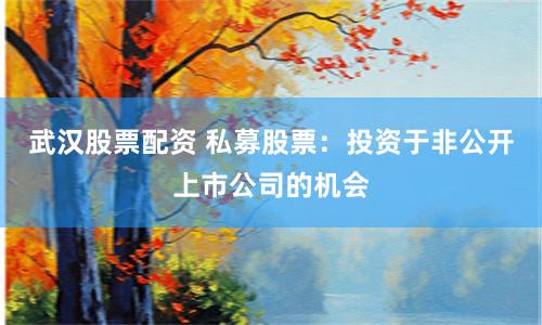 武汉股票配资 私募股票:投资于非公开上市公司的机会