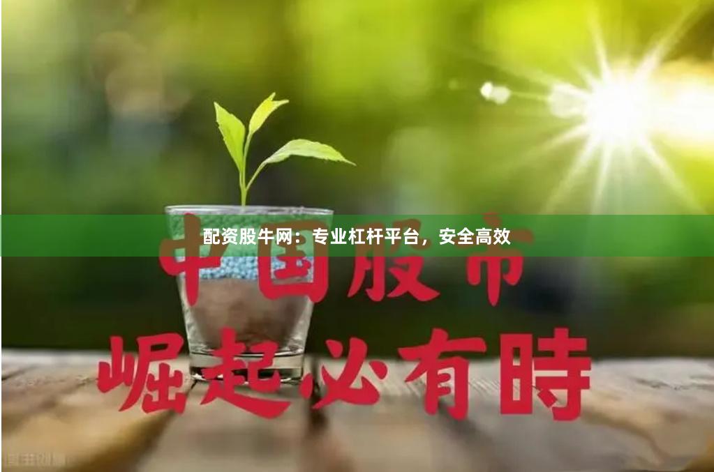 配资股牛网:专业杠杆平台,安全高效
