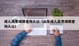 成人高考成绩查询入口（山东成人高考成绩查询入口）