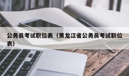 公务员考试职位表（黑龙江省公务员考试职位表）