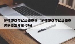 护师资格考试成绩查询（护师资格考试成绩查询需要准考证号吗）