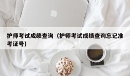 护师考试成绩查询（护师考试成绩查询忘记准考证号）