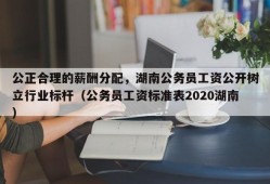 公正合理的薪酬分配，湖南公务员工资公开树立行业标杆（公务员工资标准表2020湖南）