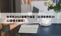 世界杯2022是哪个国家（足球世界杯2022是哪个国家）