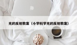 光的反射教案（小学科学光的反射教案）