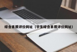 综合素质评价网址（学生综合素质评价网址）