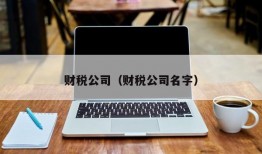 财税公司（财税公司名字）